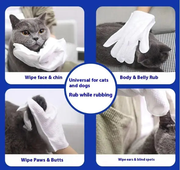 Waterless Pet Grooming Gloves
